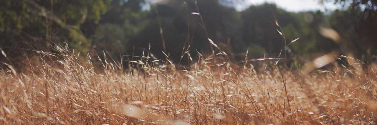 febysri78's profile banner image