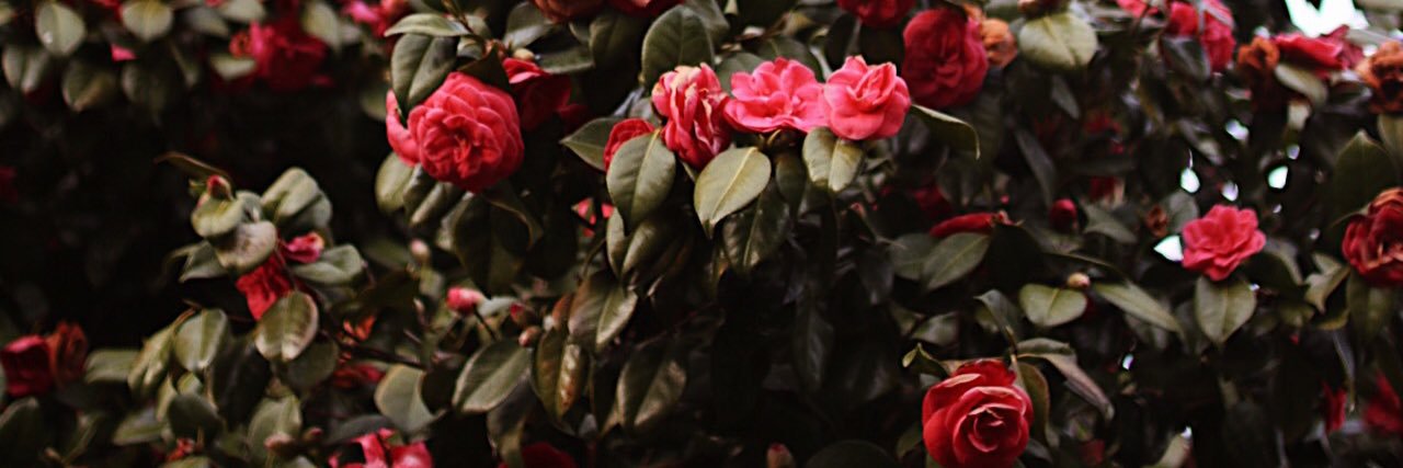 LydiaYekalam's profile banner image