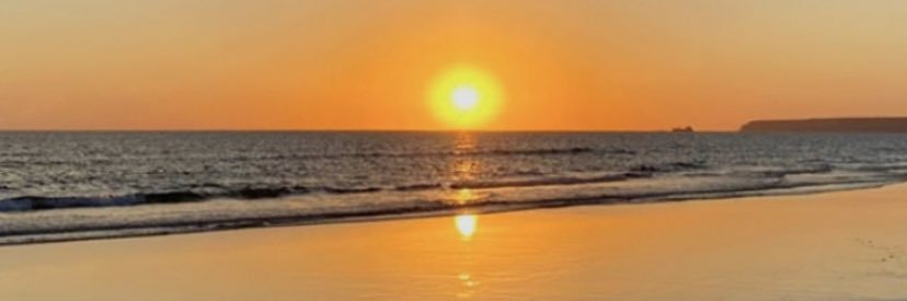 SoniaDaniel8's profile banner image
