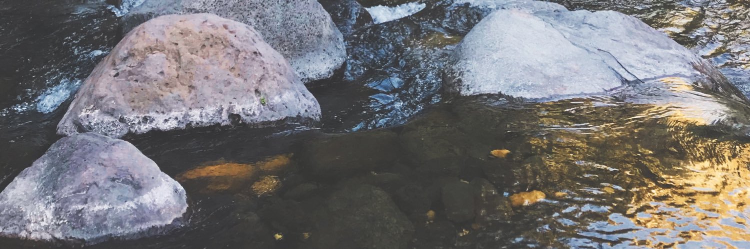 im_tigs's profile banner image