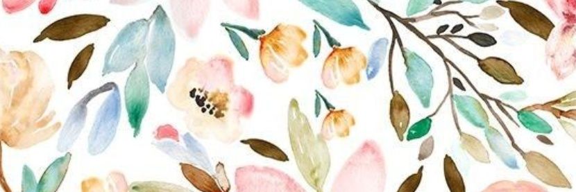 Romicabrer's profile banner image