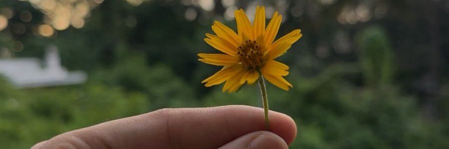 hchnxi's profile banner image