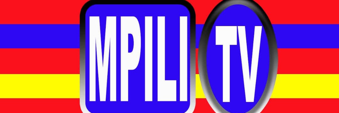 mpilitz's profile banner image