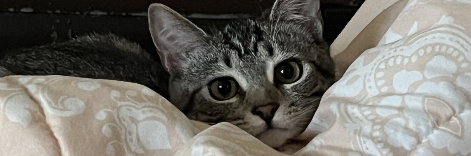 homeslicedice's profile banner image