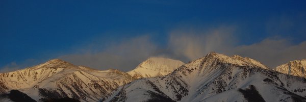 dpvazquez Profile Banner