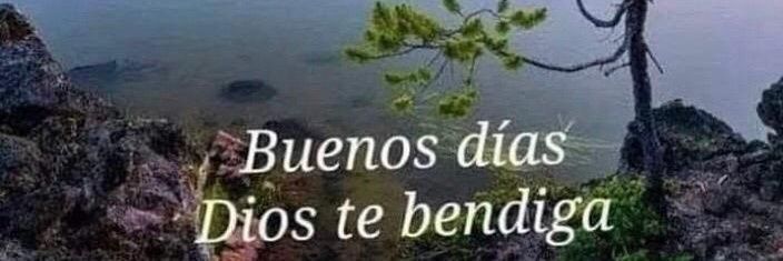 Antonio L banner