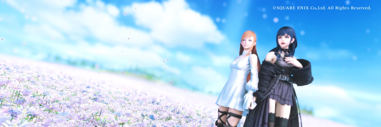 crisis1564's profile banner image