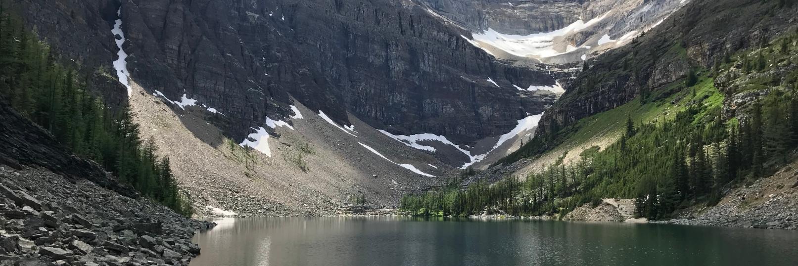 Michael Derynck banner