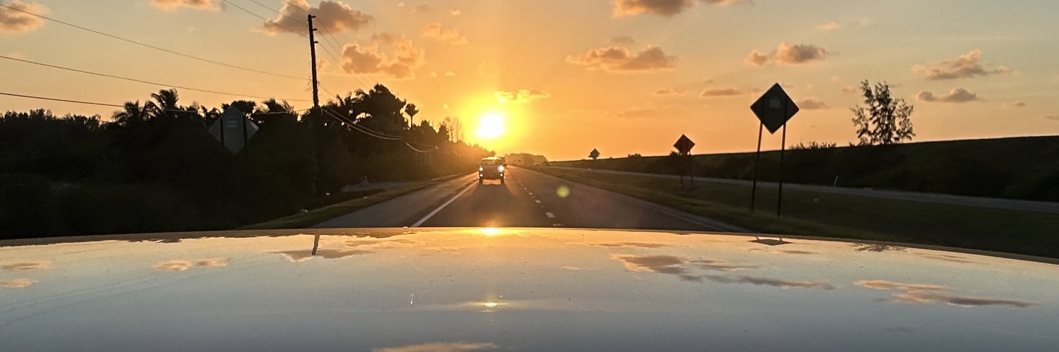 🌸 B I D D Y 🌸 banner
