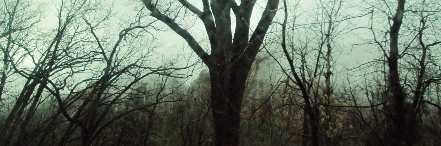 annacxffee's profile banner image