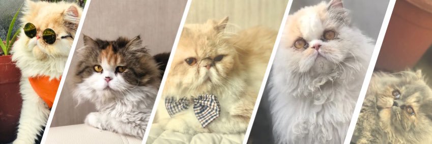 kathggm's profile banner image