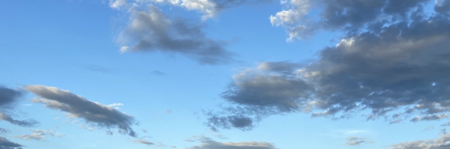 marioxnetto's profile banner image