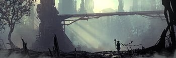 snaps banner