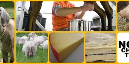 NCCheeseTrail's profile banner image