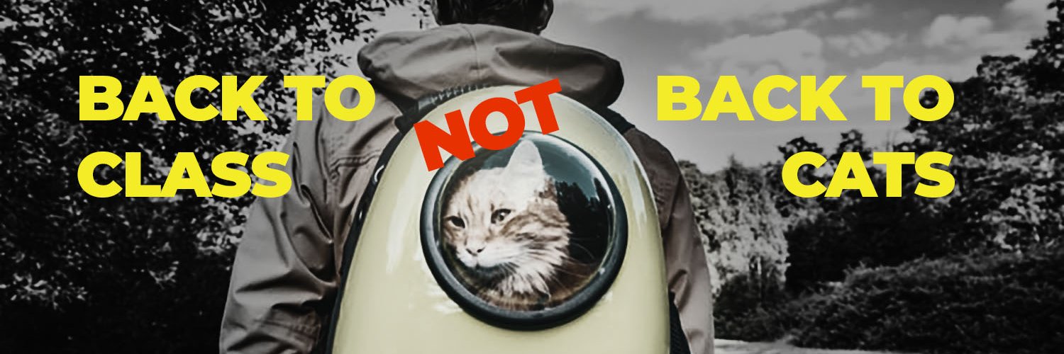 ParentsVsCats's profile banner image
