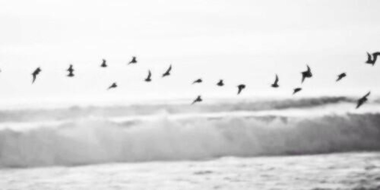 TBBlovesyou's profile banner image