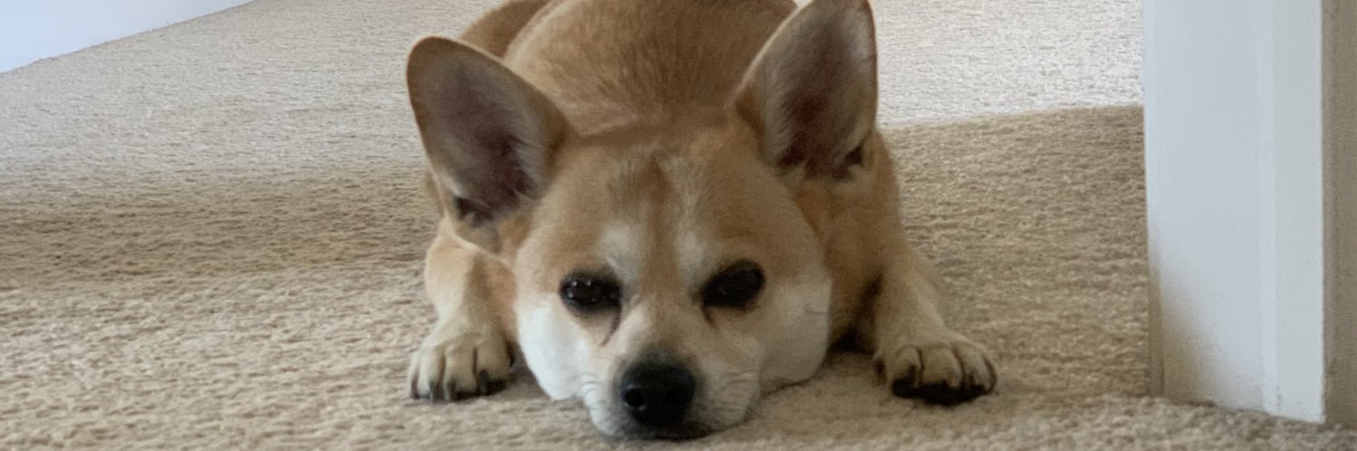 bTELLS's profile banner image