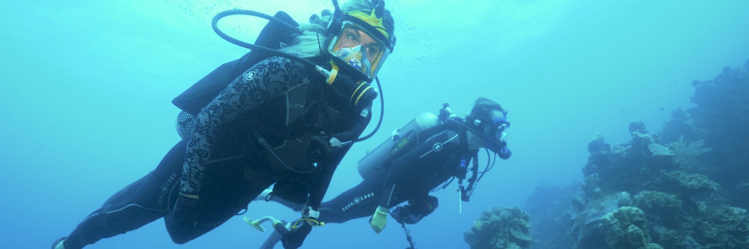 ashlancousteau's profile banner image