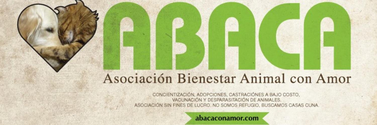 Abaconamor's profile banner image