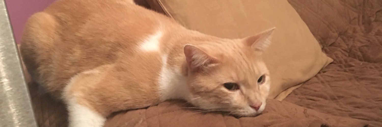 AprilRanger's profile banner image