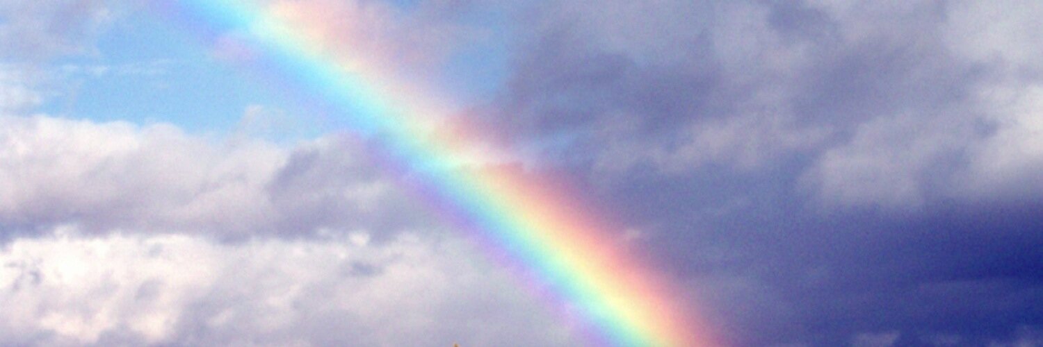 milly_layng's profile banner image