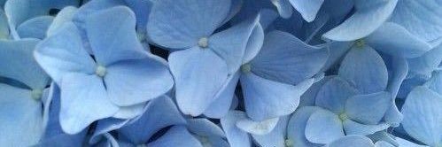 TaylorLevy12's profile banner image