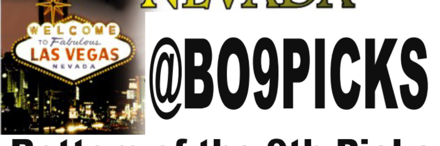 BO9PICKS's profile banner image