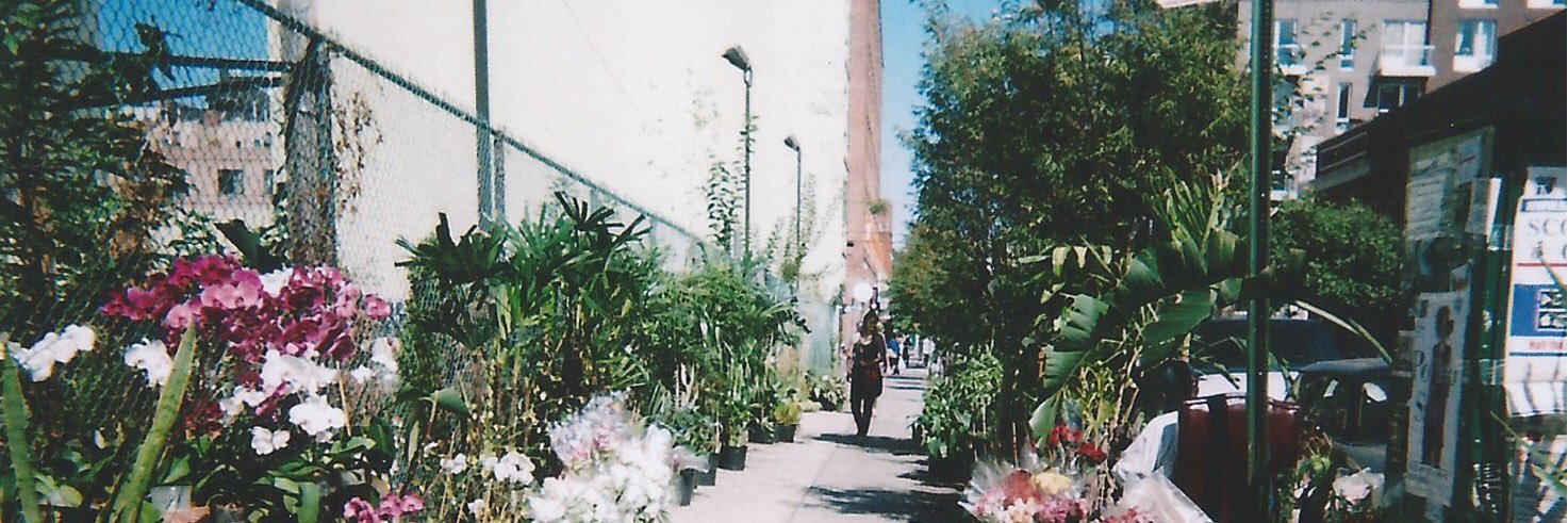 𦚰田あすか banner