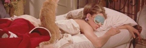 aipontarou_'s profile banner image