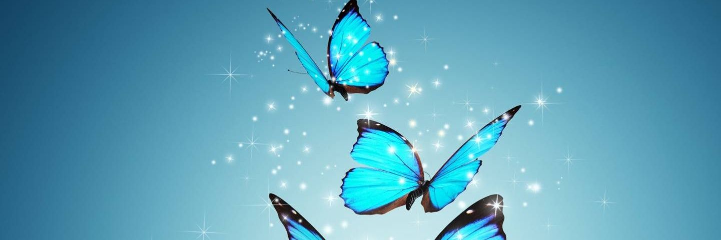 midnightvixen36's profile banner image