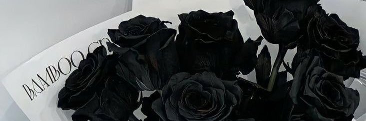 5Iguoomi's profile banner image