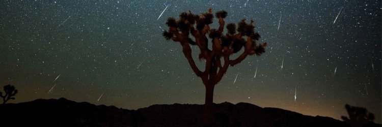 kimehicks9's profile banner image