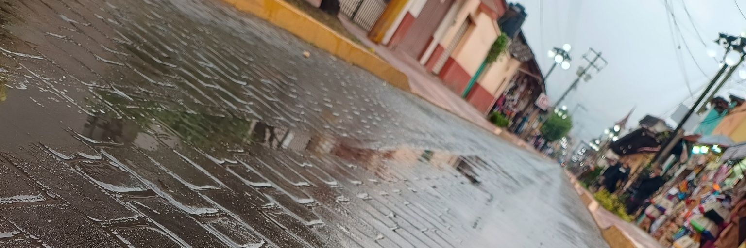 Li_moncito's profile banner image