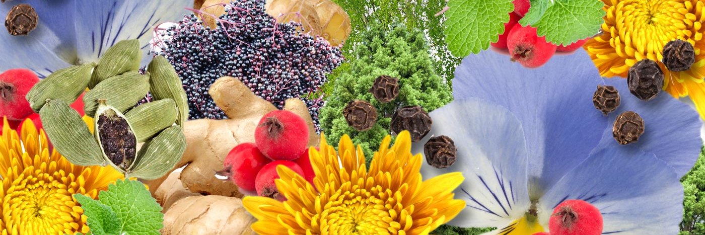 WhiteRabbitInst's profile banner image