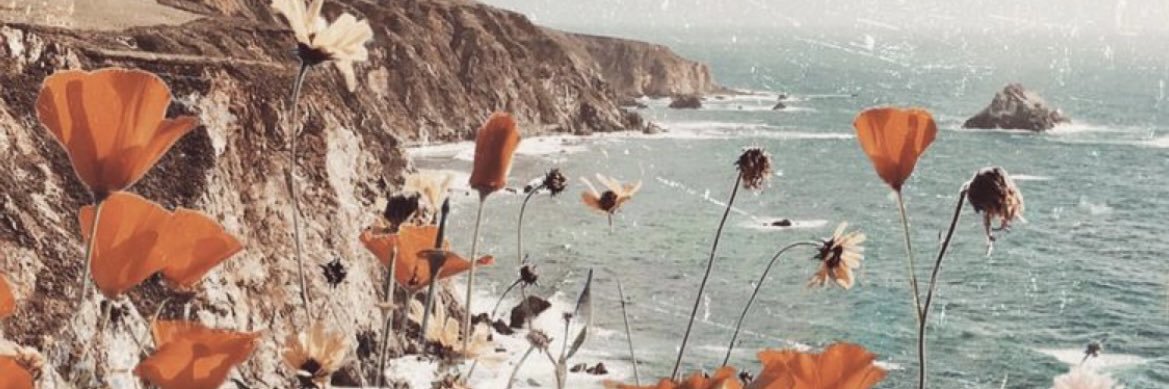 caramiafretti's profile banner image