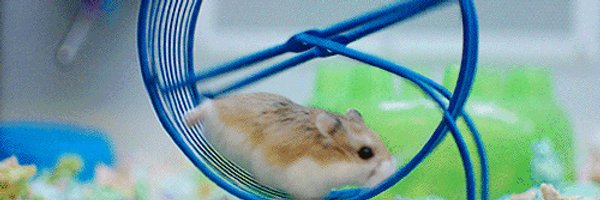 Sayedabdelwhab Profile Banner
