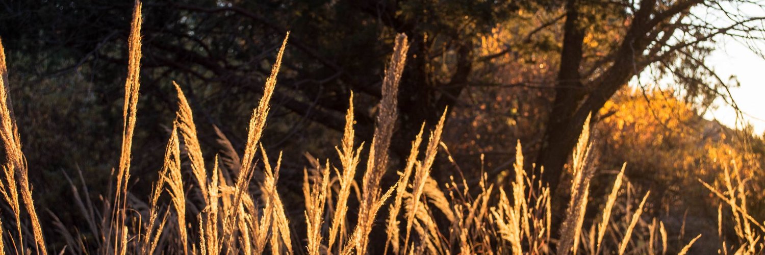 fluxxom's profile banner image