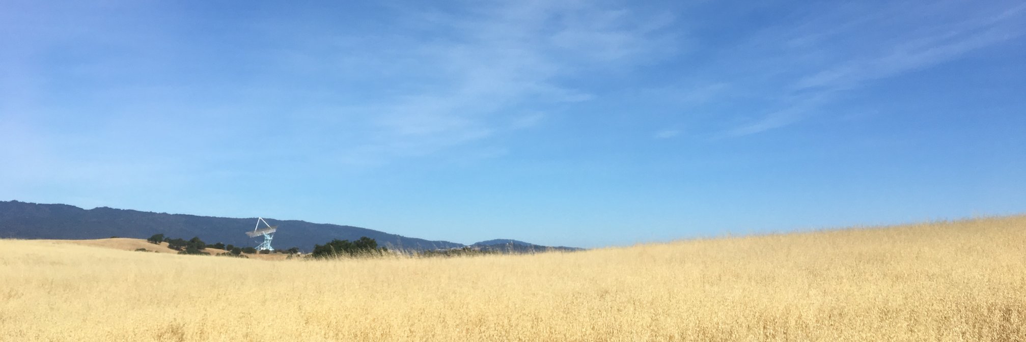 Cynthia Thomas banner