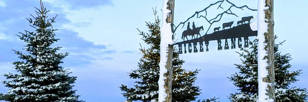 hickey1908 Profile Banner