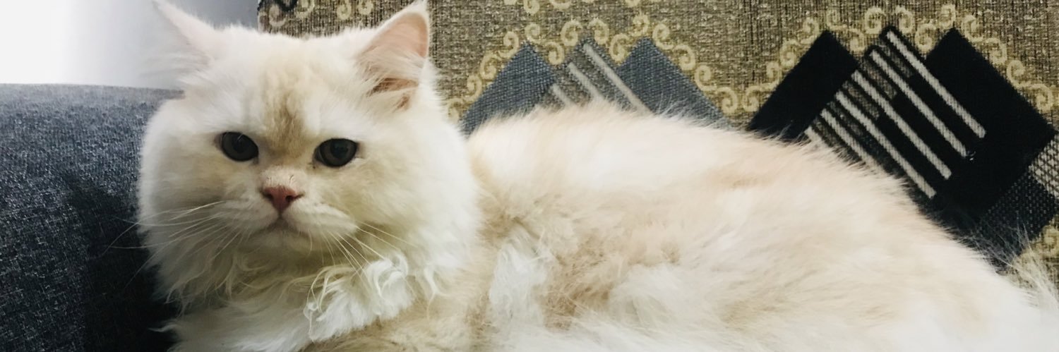 WithDueRespct's profile banner image