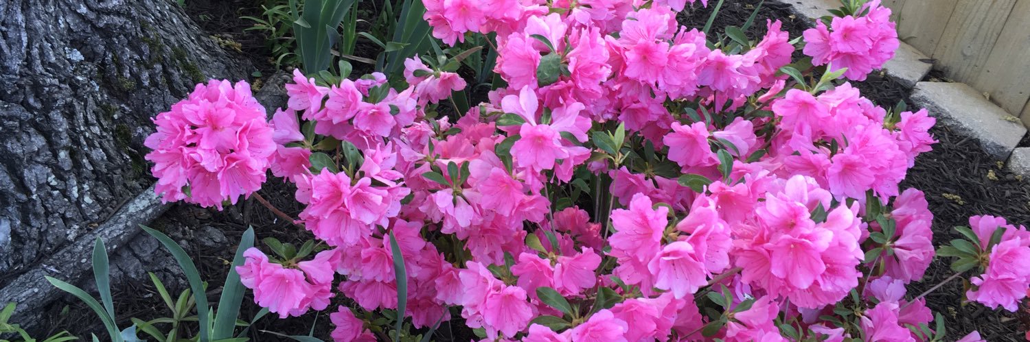 Katsin 🇺🇸🇺🇦💙🌊 banner