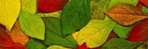 __m5___'s profile banner image