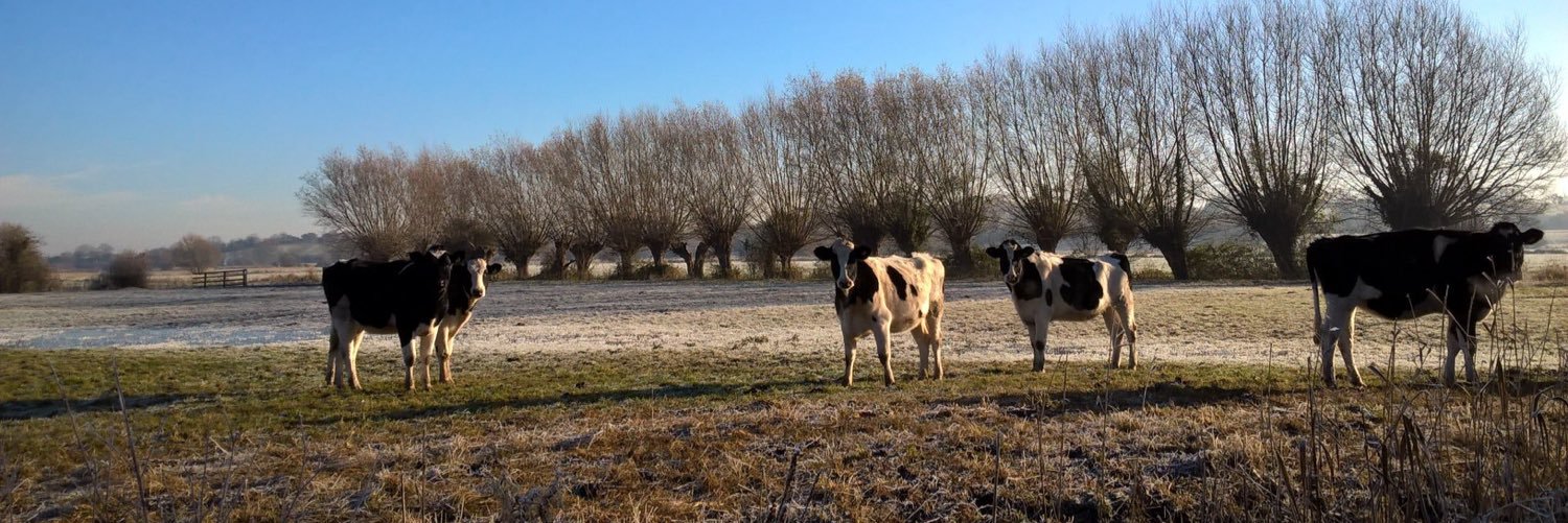 MusicOnTheLevels banner