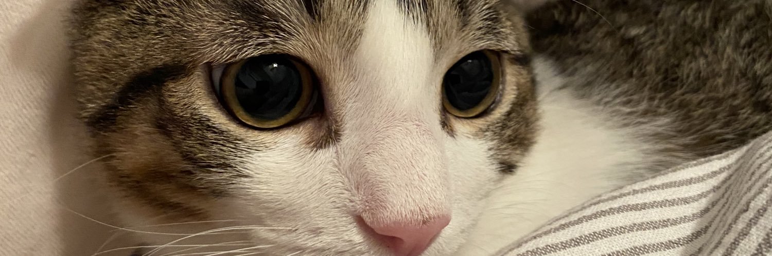 mau_picho's profile banner image