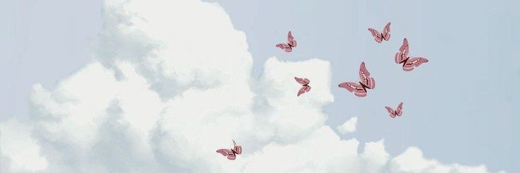 『 فـراشـة 』❤︎ banner