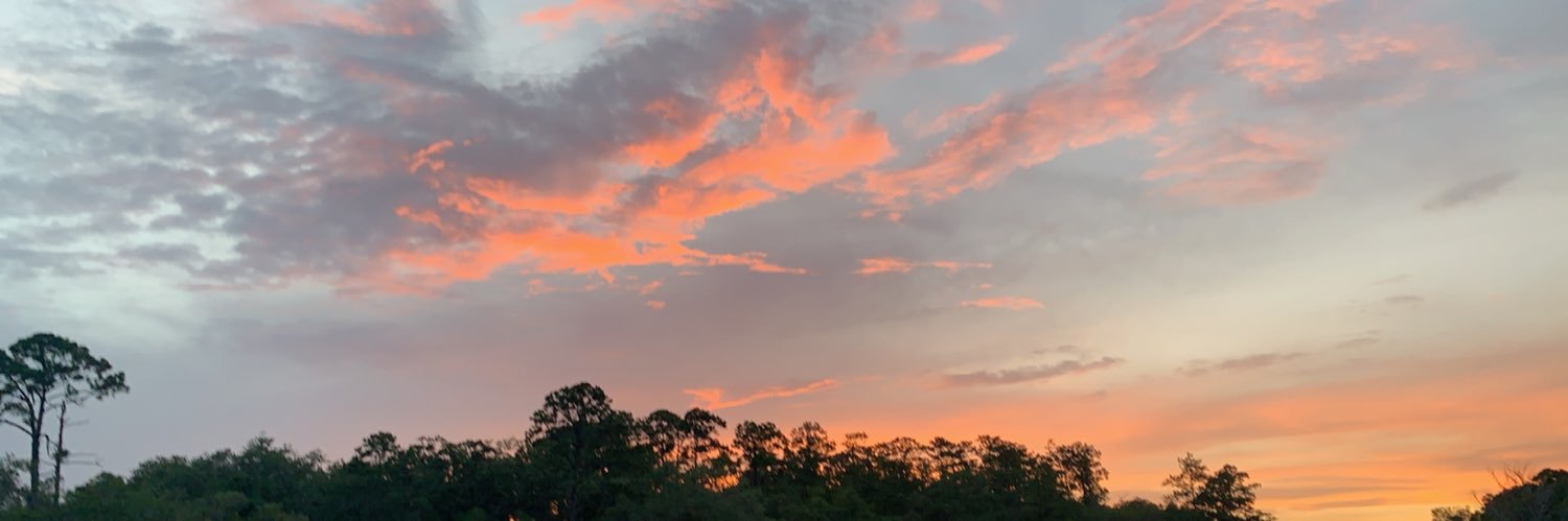 MarandaCichocki's profile banner image