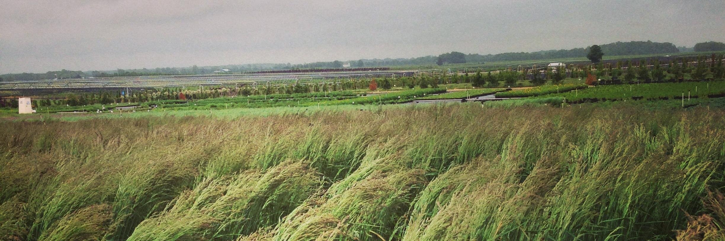 JohnsonFarmsInc's profile banner image