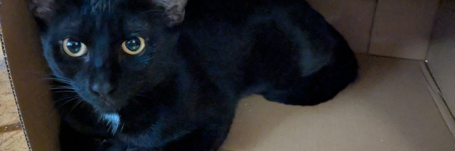 michellzebub's profile banner image