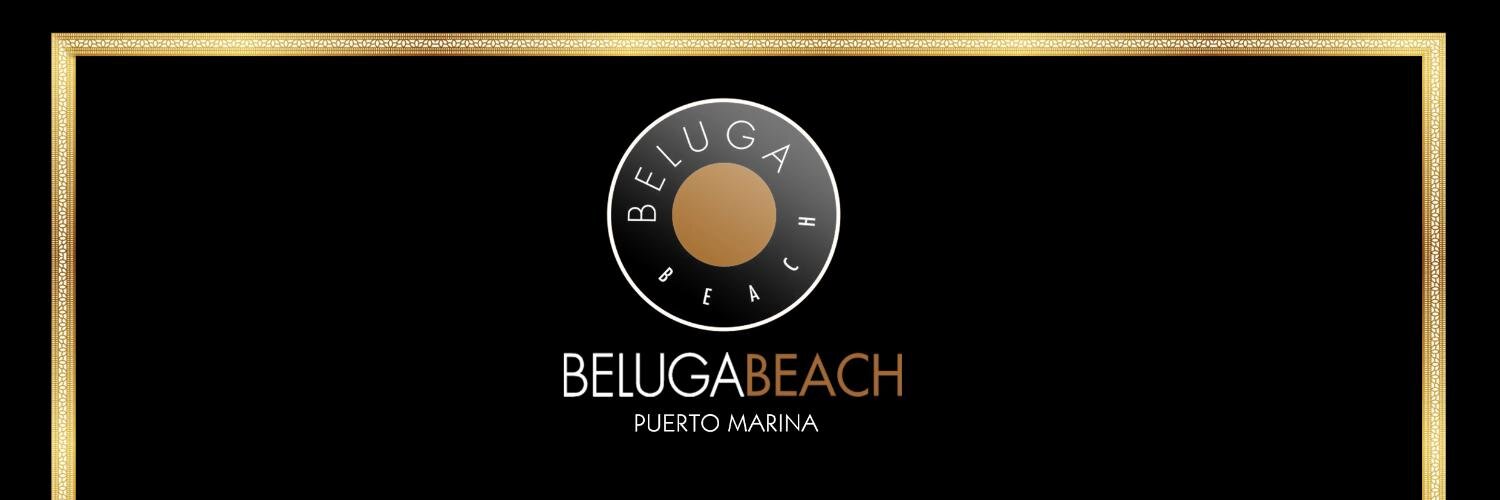 BeachBeluga's profile banner image