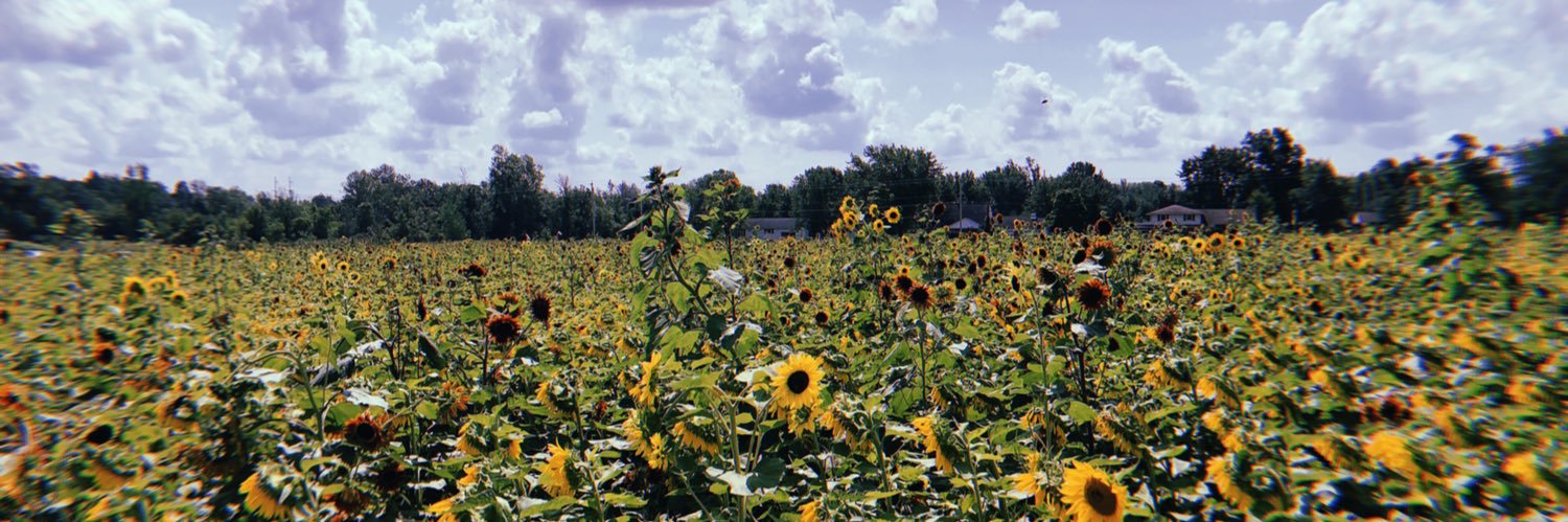 Devvv_27's profile banner image